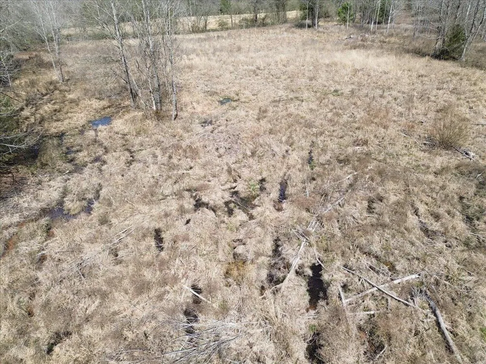 Francis Springs Road Whitwell, TN 37397