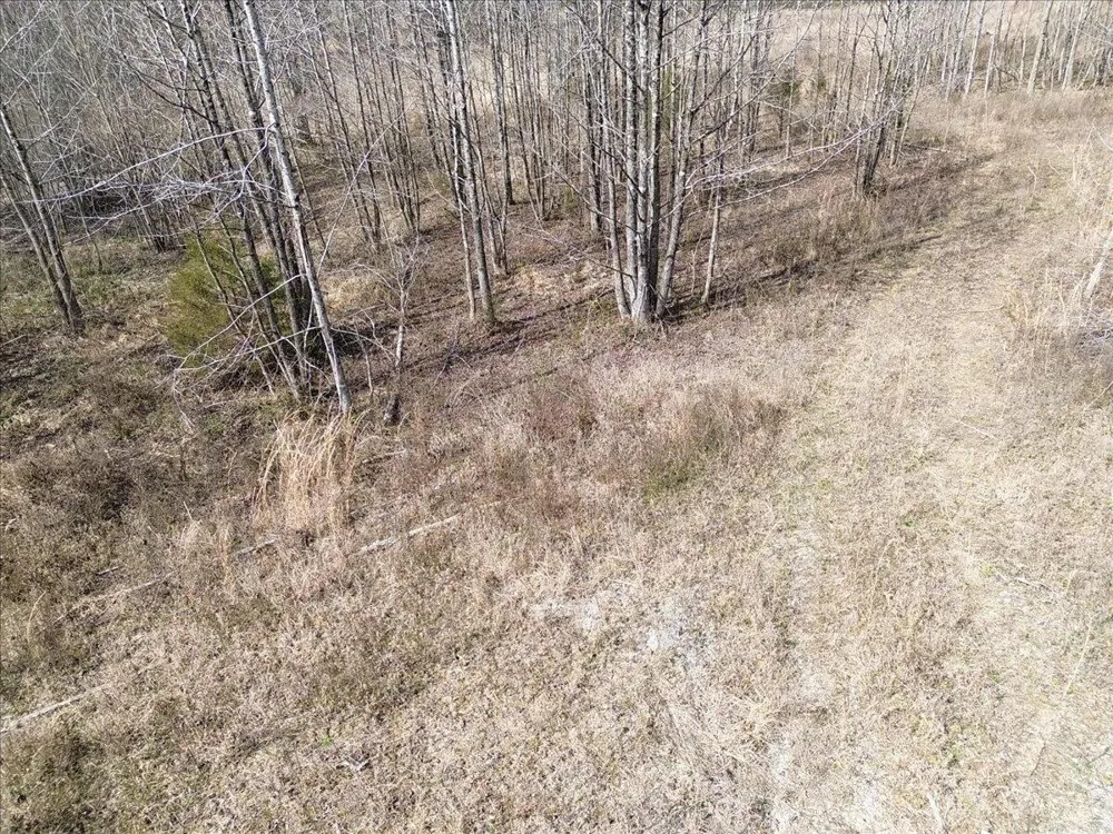 Francis Springs Road Whitwell, TN 37397