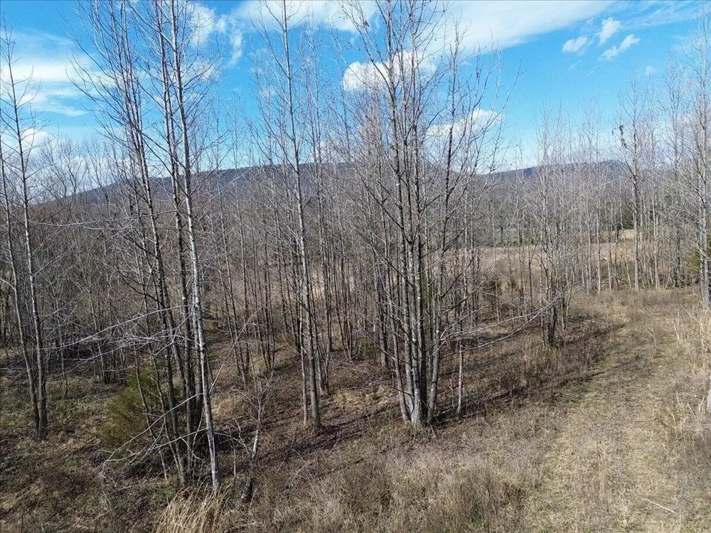 Francis Springs Road Whitwell, TN 37397