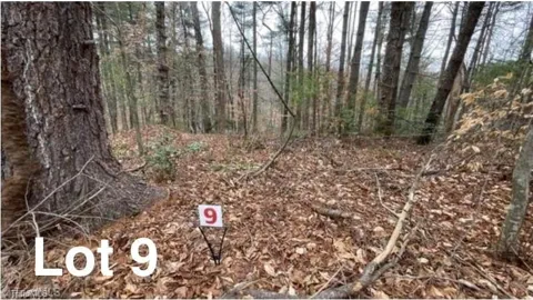 LOT 9 Woods Haven Lane