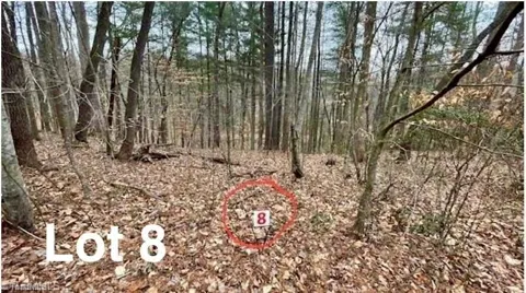 Lot 8 Woods Haven Lane