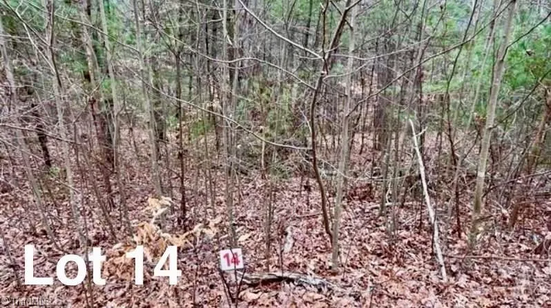 LOT 14 Woods Haven Lane Stuart, VA 24171