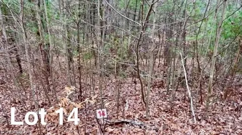 LOT 14 Woods Haven Lane
