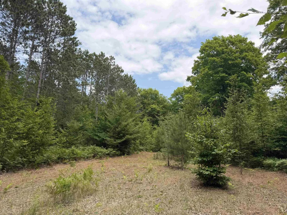 13544 Aylsworth Road Weldon Township, MI 49617