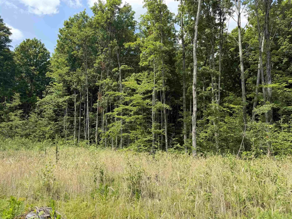 13544 Aylsworth Road Weldon Township, MI 49617