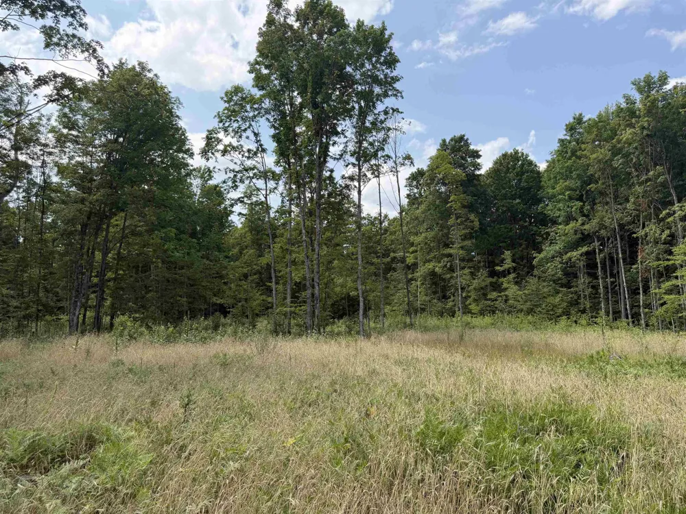 13544 Aylsworth Road Weldon Township, MI 49617