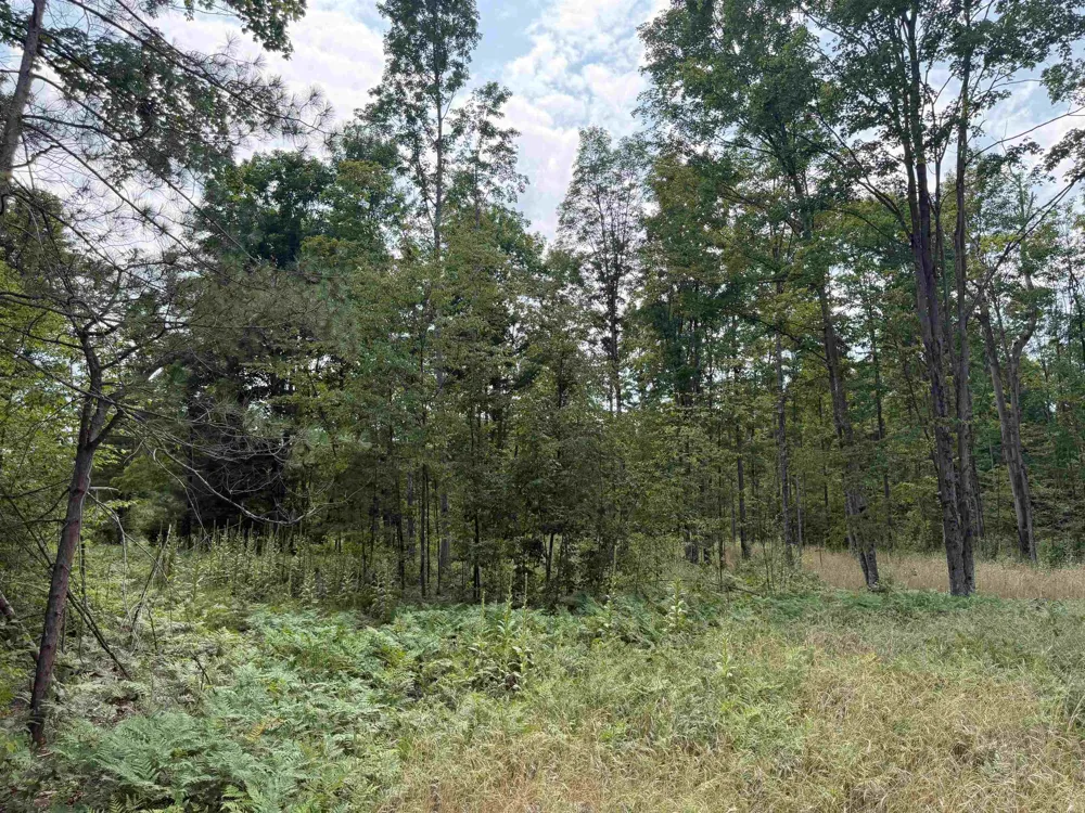 13544 Aylsworth Road Weldon Township, MI 49617