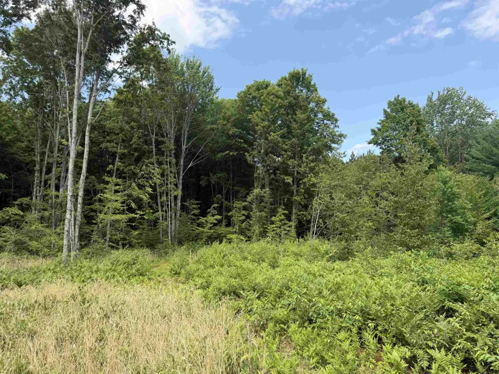 13544 Aylsworth Road Weldon Township, MI 49617
