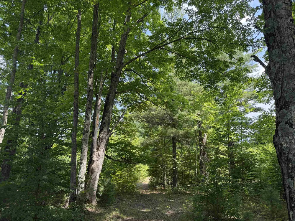 13544 Aylsworth Road Weldon Township, MI 49617