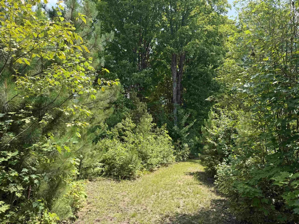 13544 Aylsworth Road Weldon Township, MI 49617