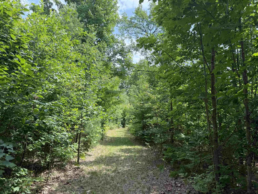 13544 Aylsworth Road Weldon Township, MI 49617