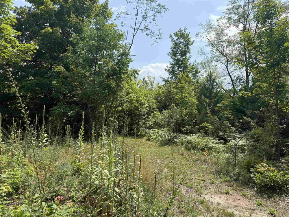 13544 Aylsworth Road Weldon Township, MI 49617