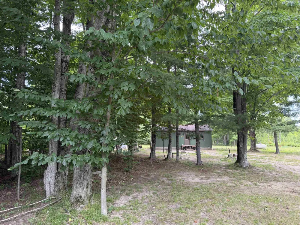 13544 Aylsworth Road Weldon Township, MI 49617