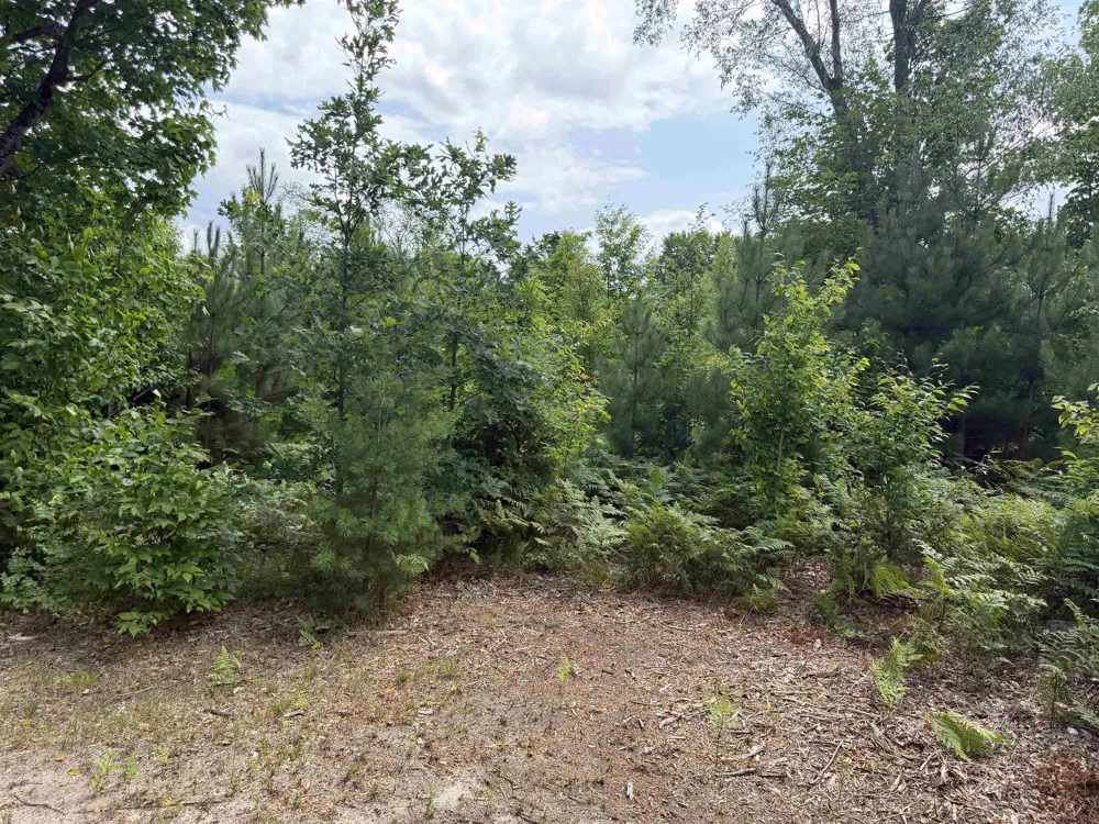 13544 Aylsworth Road Weldon Township, MI 49617