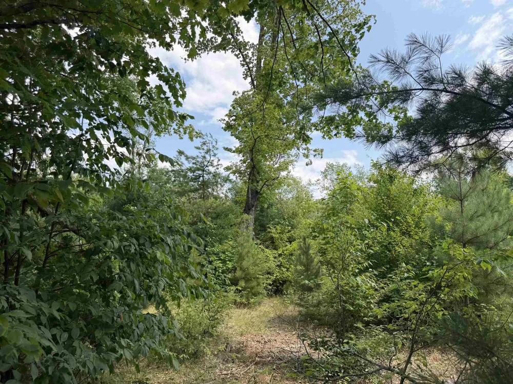 13544 Aylsworth Road Weldon Township, MI 49617