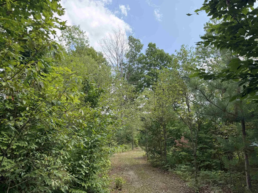 13544 Aylsworth Road Weldon Township, MI 49617