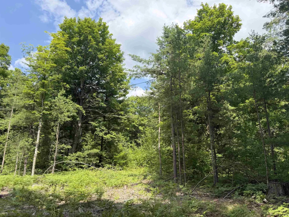 13544 Aylsworth Road Weldon Township, MI 49617