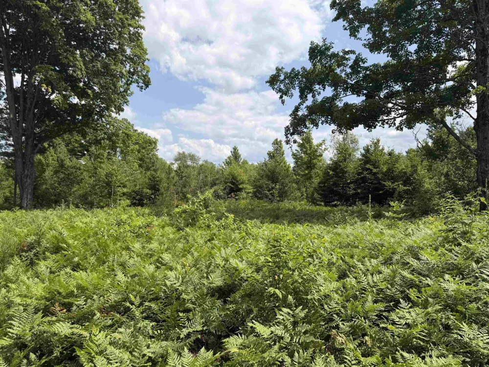 13544 Aylsworth Road Weldon Township, MI 49617