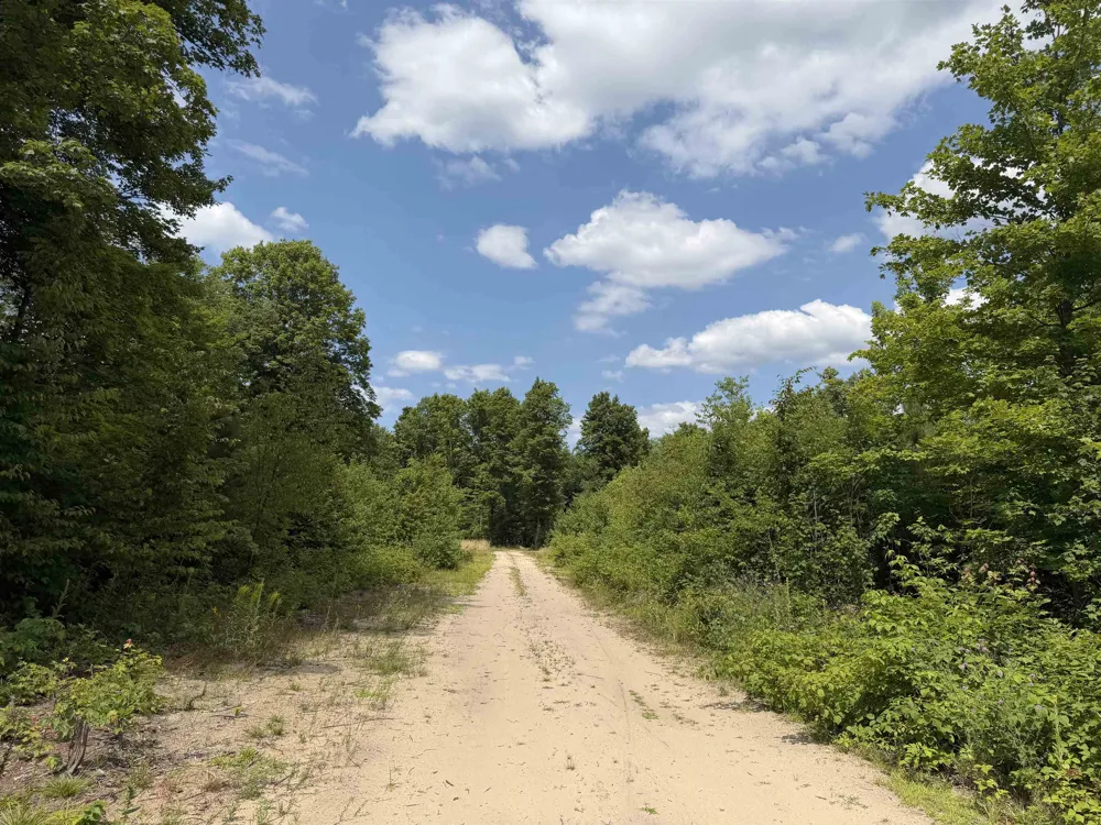 13544 Aylsworth Road Weldon Township, MI 49617