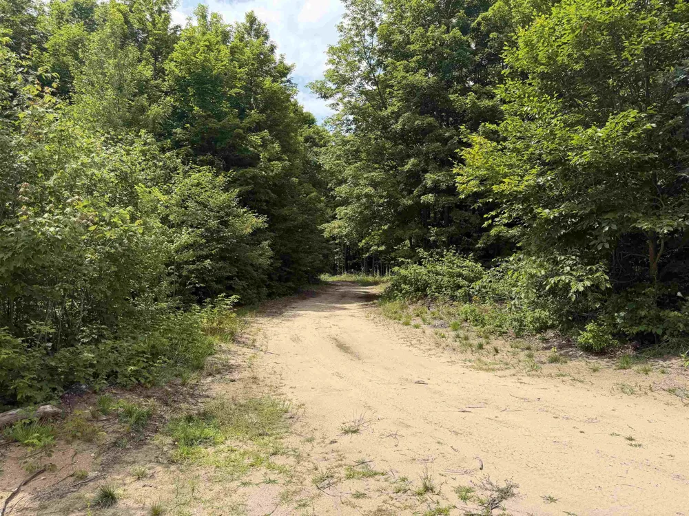 13544 Aylsworth Road Weldon Township, MI 49617