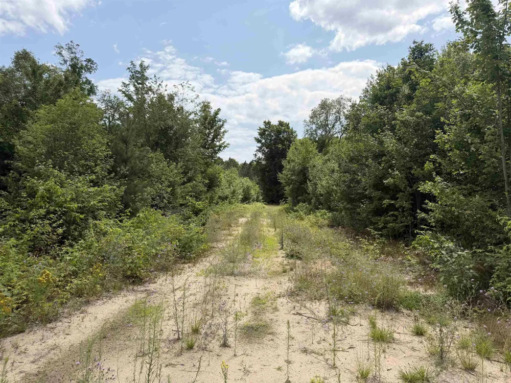 13544 Aylsworth Road Weldon Township, MI 49617