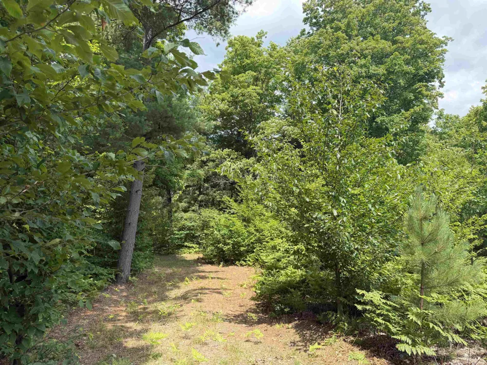 13544 Aylsworth Road Weldon Township, MI 49617