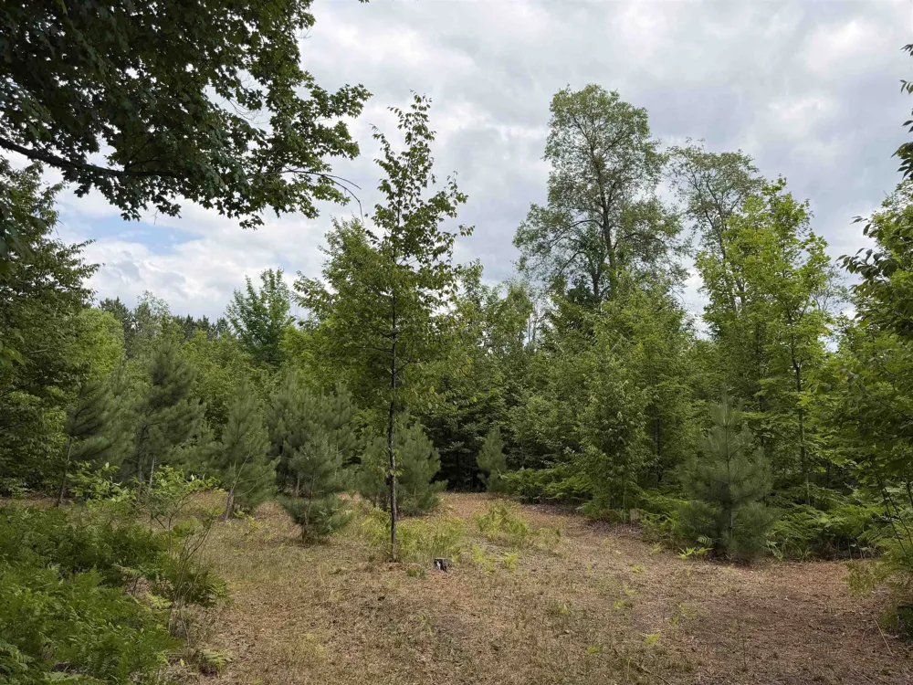13544 Aylsworth Road Weldon Township, MI 49617