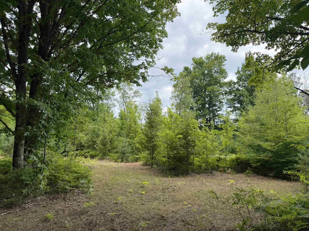 13544 Aylsworth Road Weldon Township, MI 49617