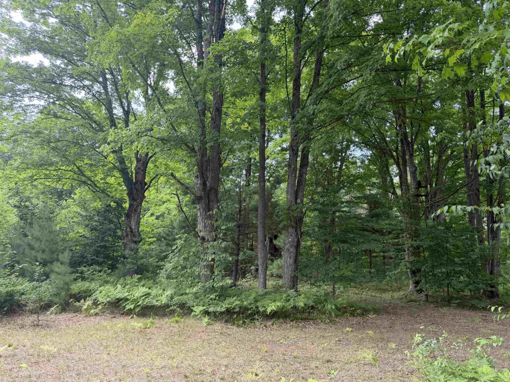 13544 Aylsworth Road Weldon Township, MI 49617