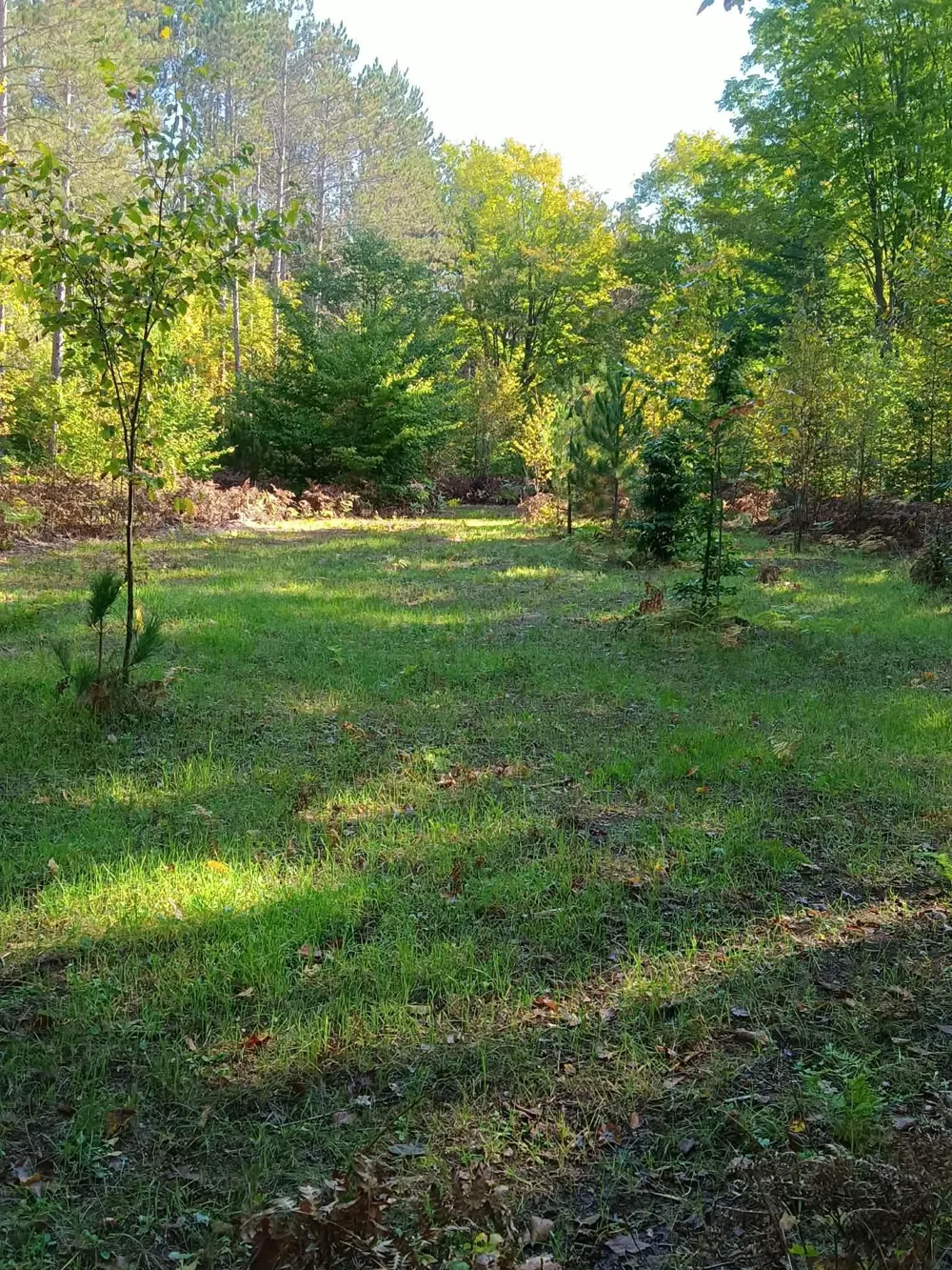 13544 Aylsworth Road Weldon Township, MI 49617