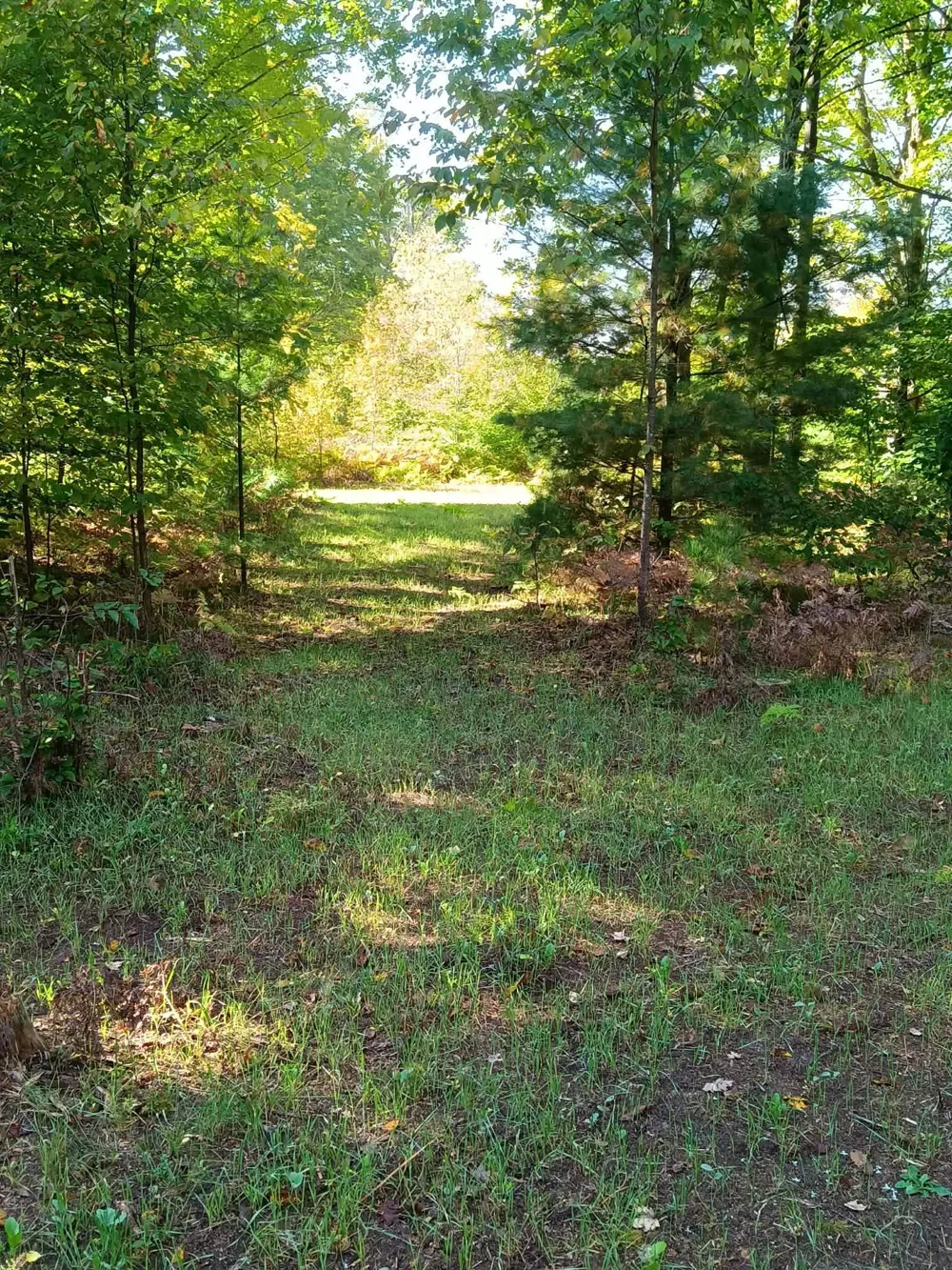 13544 Aylsworth Road Weldon Township, MI 49617