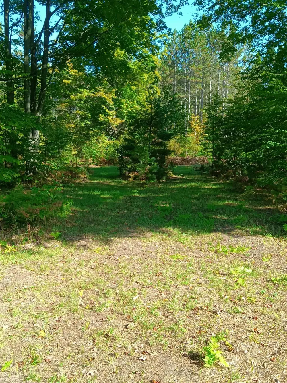13544 Aylsworth Road Weldon Township, MI 49617