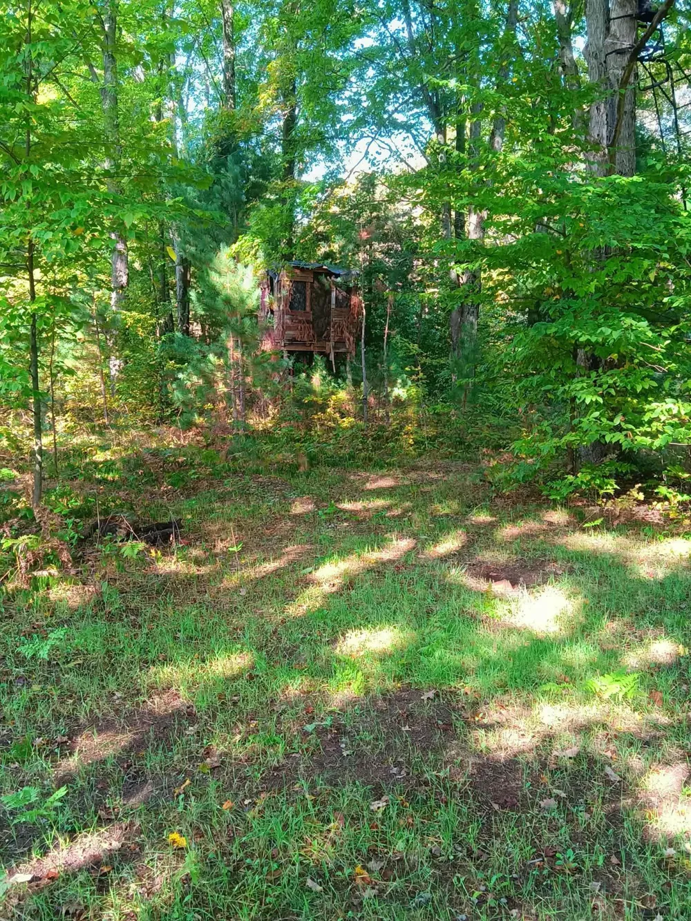 13544 Aylsworth Road Weldon Township, MI 49617