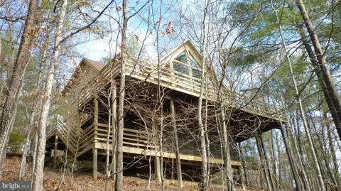 51 FORREST STREET