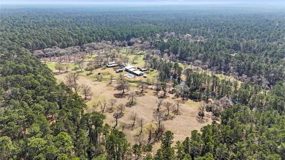 19225 Forest Service Rd 219 Richards, TX 77873
