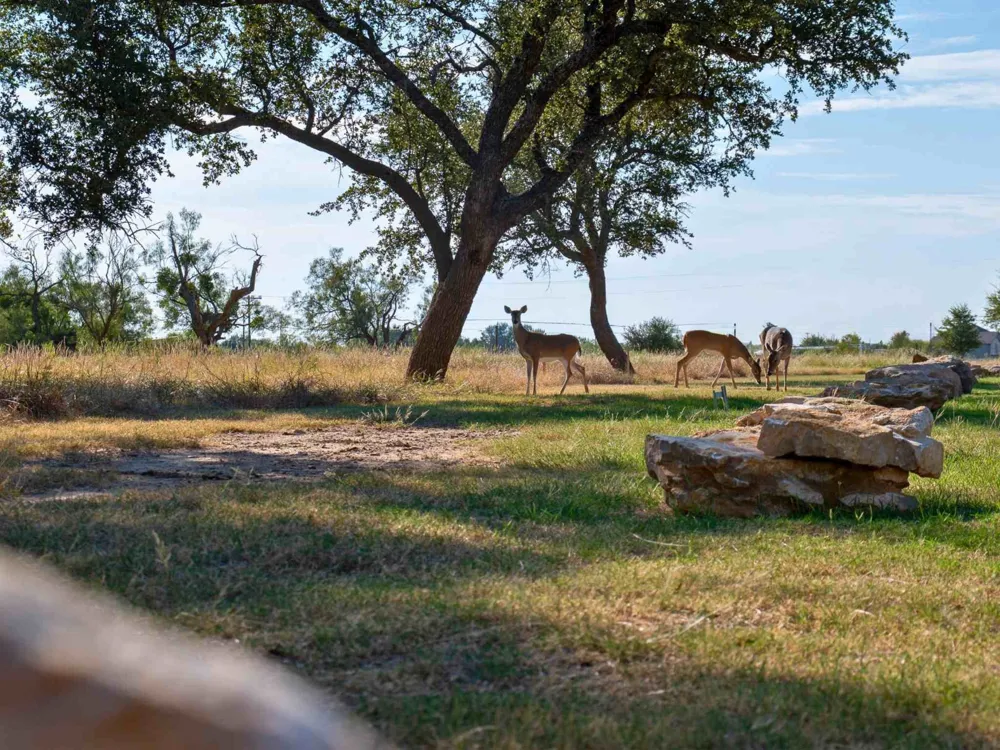 Winged Foot Drive Graford, TX 76449