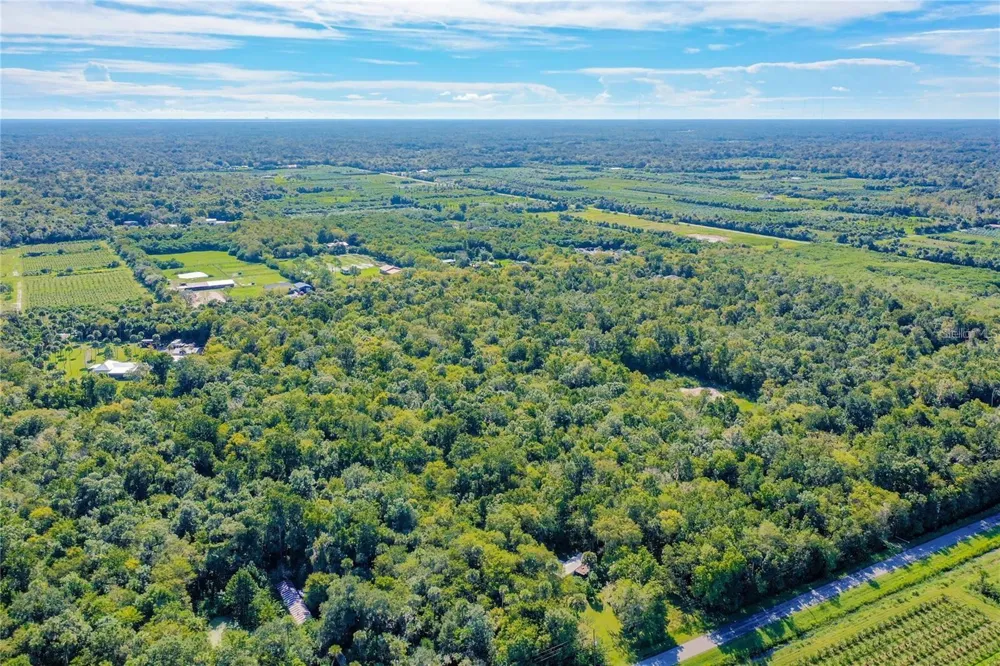 ELM STREET Oviedo, FL 32765