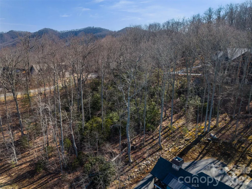 5 Crockett Ridge Road #179 Black Mountain, NC 28711