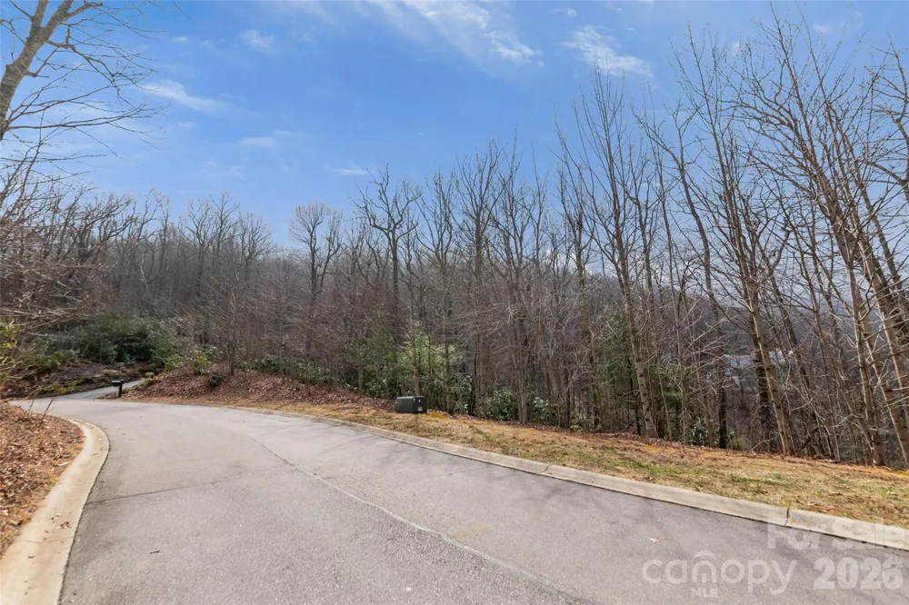 5 Crockett Ridge Road #179 Black Mountain, NC 28711