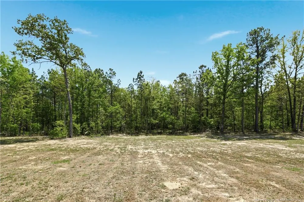 254 Collier Gate Street Linden, NC 28356