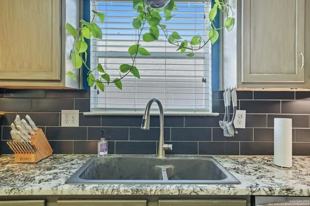 663 Lynx Mountain San Antonio, TX 78251
