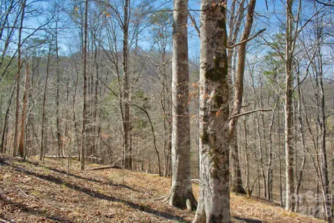 0 Cross Creek Drive #143