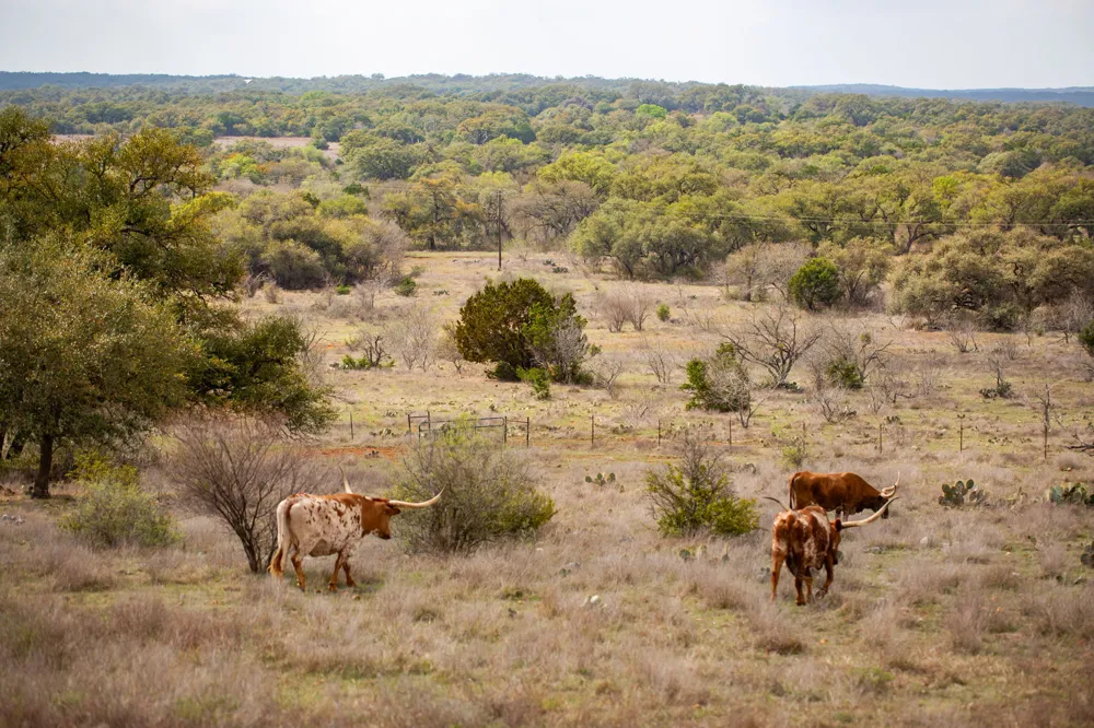 2810 Bridlewood Ranches Dr. San Marcos, TX 78666