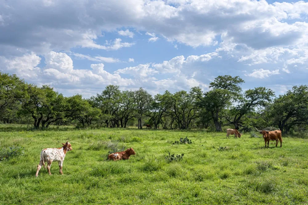 2810 Bridlewood Ranches Dr. San Marcos, TX 78666