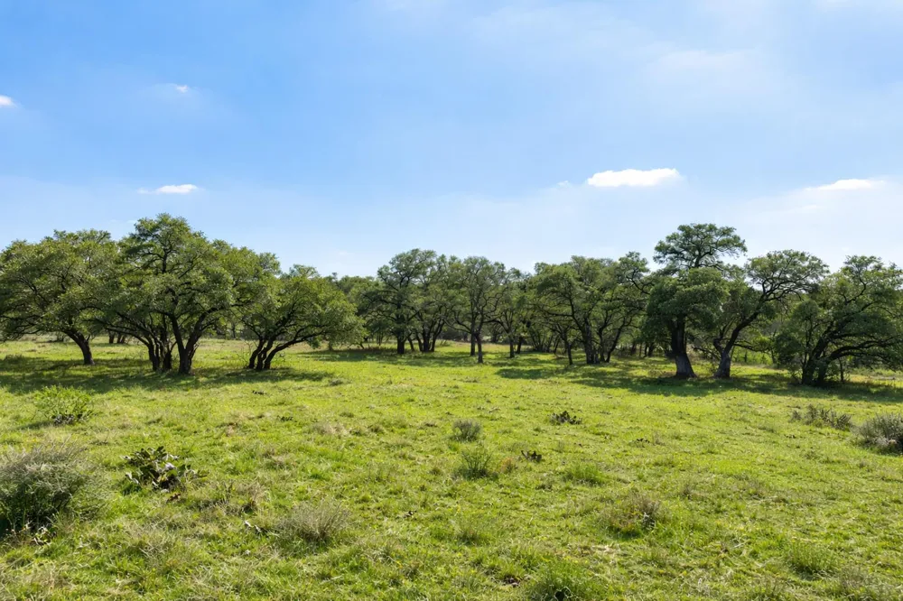 2810 Bridlewood Ranches Dr. San Marcos, TX 78666