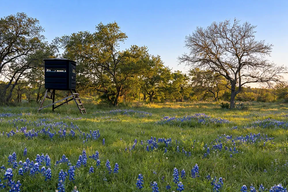 2810 Bridlewood Ranches Dr. San Marcos, TX 78666