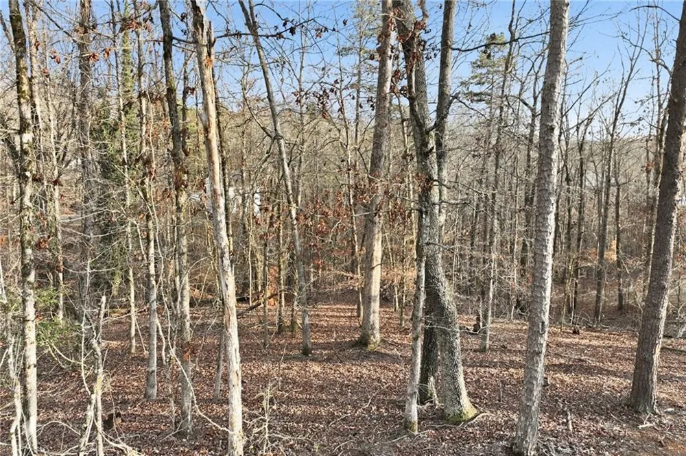 7707 Elm Circle Murrayville, GA 30564
