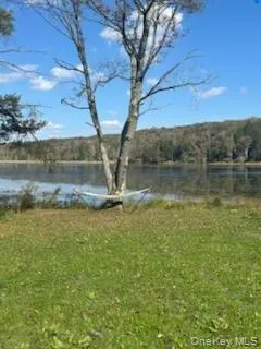10 Dorm Drive Fallsburg, NY 12747