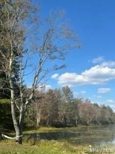 10 Dorm Drive Fallsburg, NY 12747