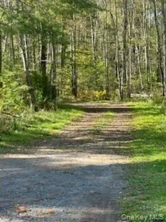 10 Dorm Drive Fallsburg, NY 12747